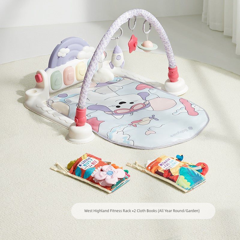 Newborn Meeting Gift June Puzzle Gymnastic Rack