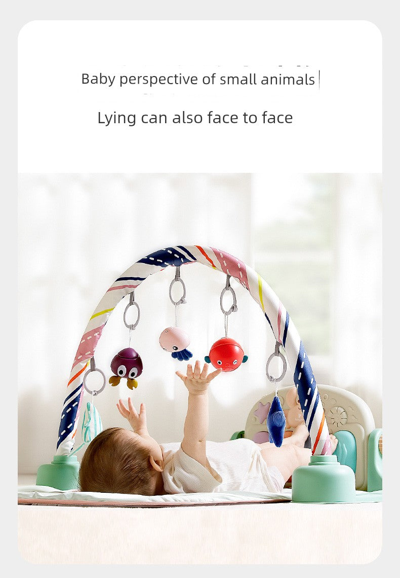 Newborn Meeting Gift June Puzzle Gymnastic Rack