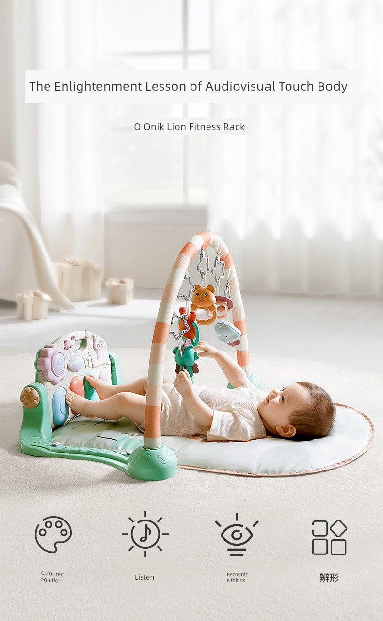 Newborn Meeting Gift June Puzzle Gymnastic Rack