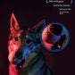 Gigwi Expensive Dog Toy Explosive Ball Bite-Resistant Molar Pet Toy Medium Large Dog Husky Toy Ball