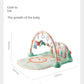 Newborn Meeting Gift June Puzzle Gymnastic Rack