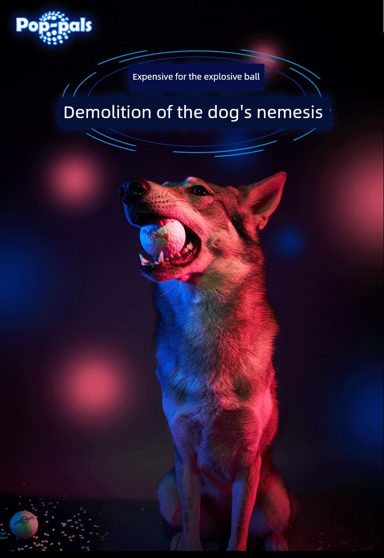 Gigwi Expensive Dog Toy Explosive Ball Bite-Resistant Molar Pet Toy Medium Large Dog Husky Toy Ball