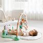 Newborn Meeting Gift June Puzzle Gymnastic Rack